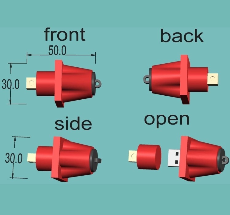 custom USB flash drivers 4 GB 2