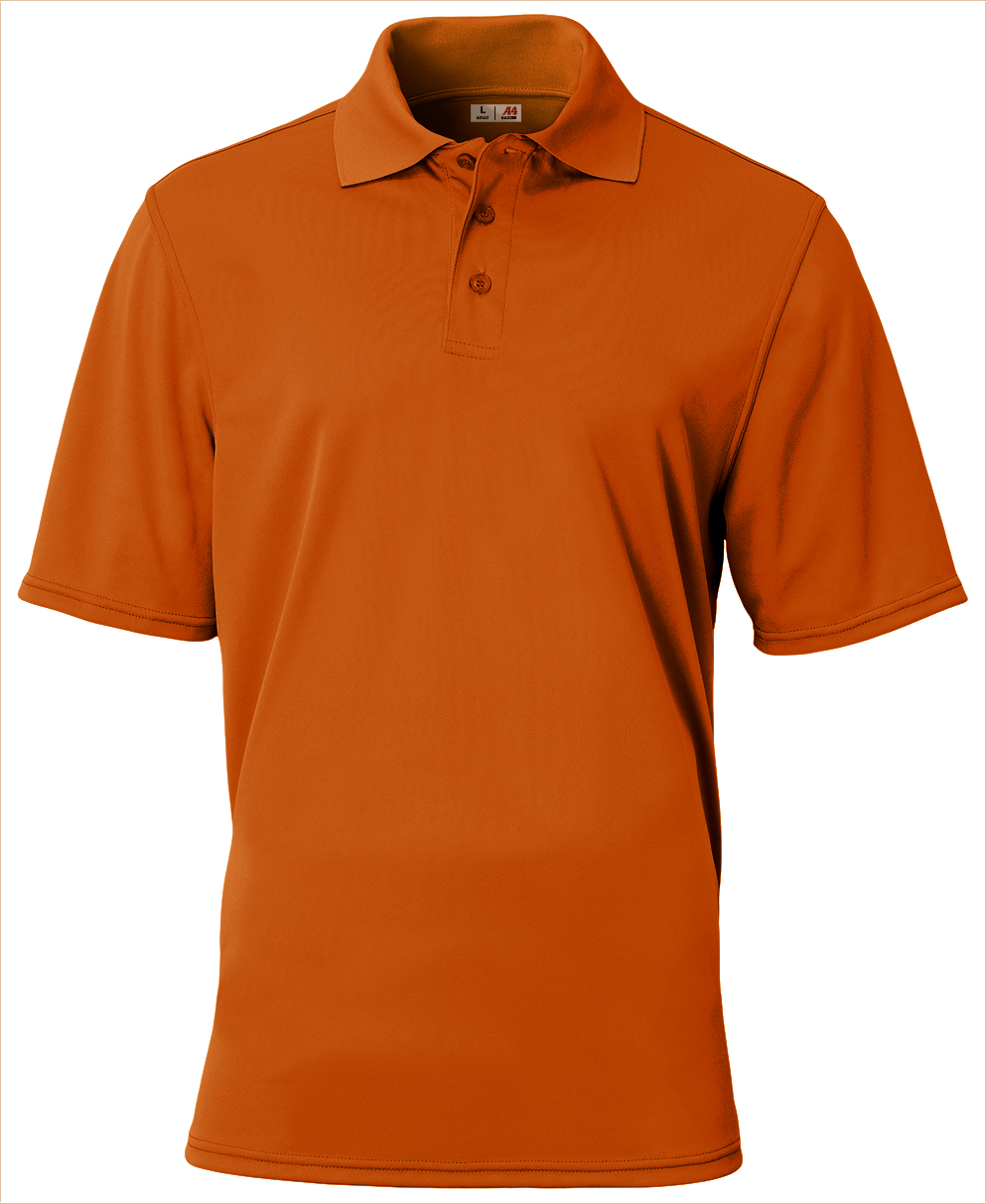 A4 Essential Polo 7