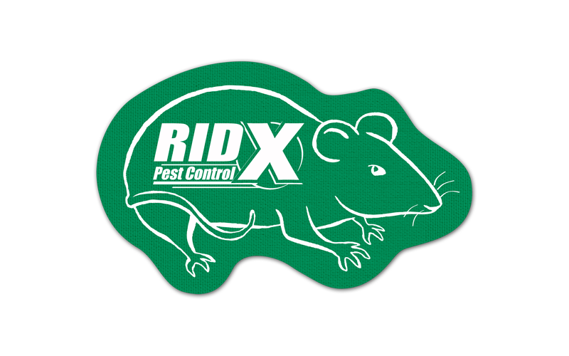 Rat/Mouse Rubber Jar Opener 69