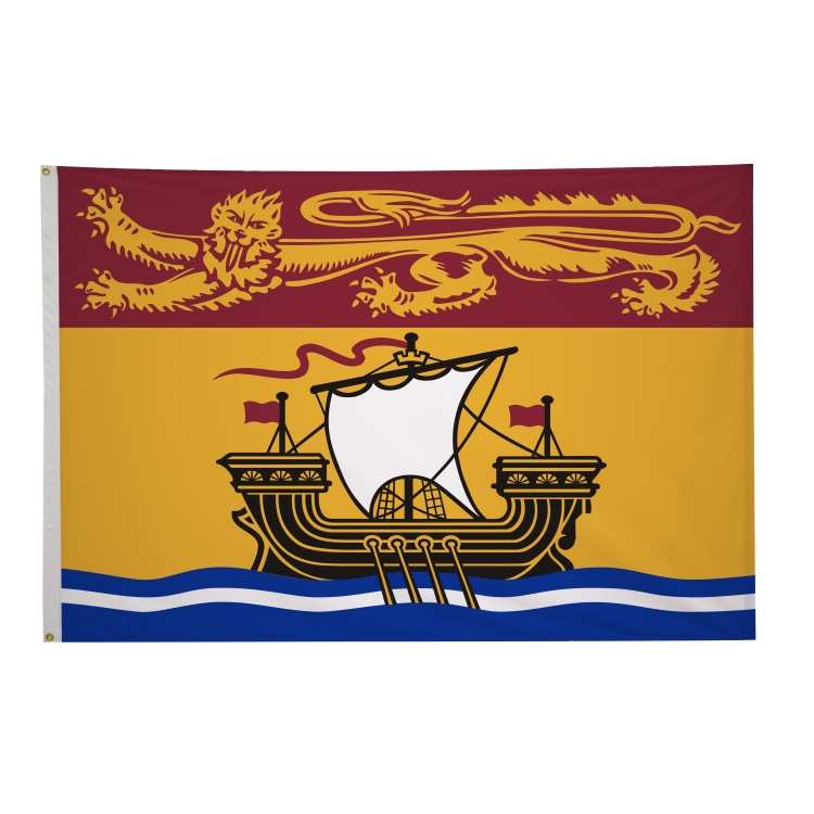 4' x 6' International Flags 300