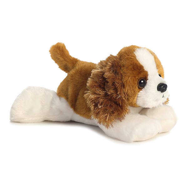 8" Cavalier King Charles 2