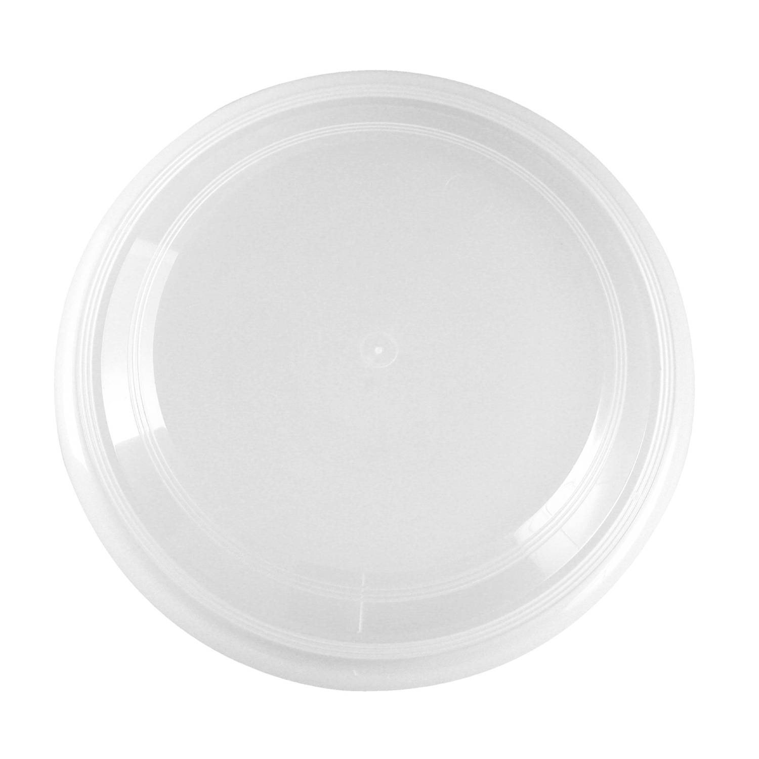 9 inch Translucent Flying Disc 1