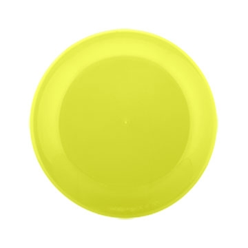 9" Flyer Disc with our RealColor360 Imprint