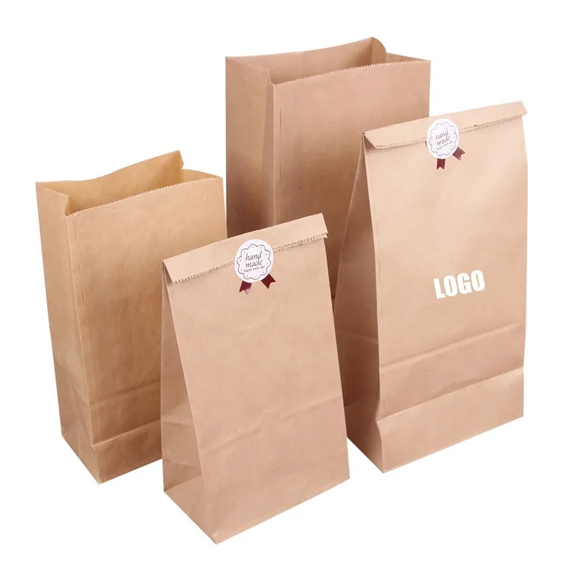 Brown Kraft Paper Bag For Shopping Storage