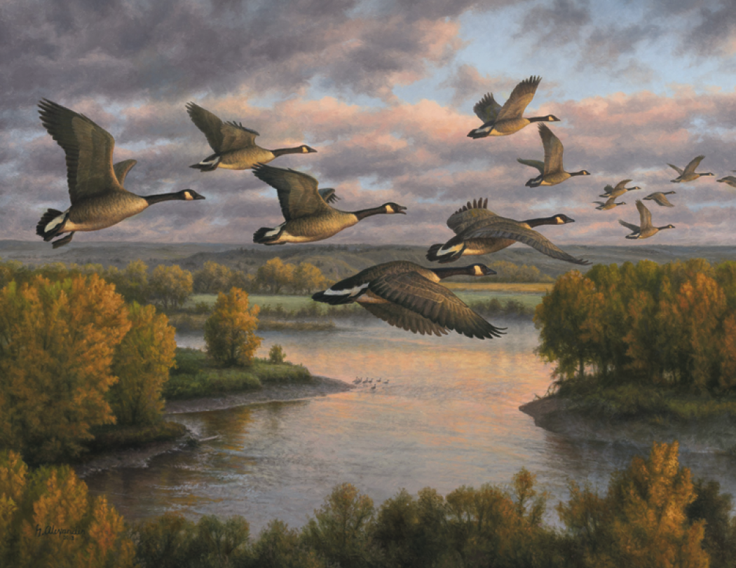 Good Value™ Wildlife Canvas - Stapled Calendar 47