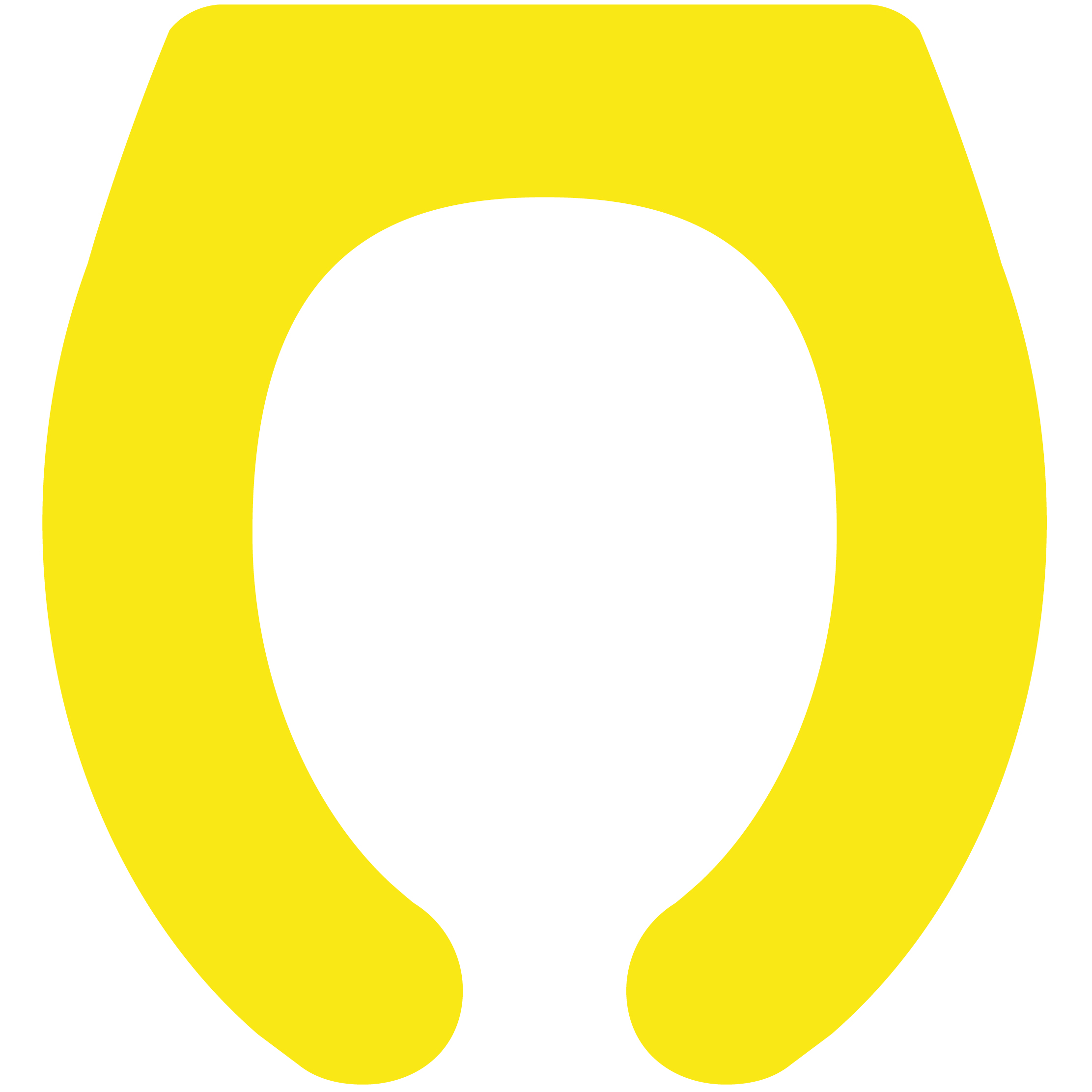 Toilet Seat 21