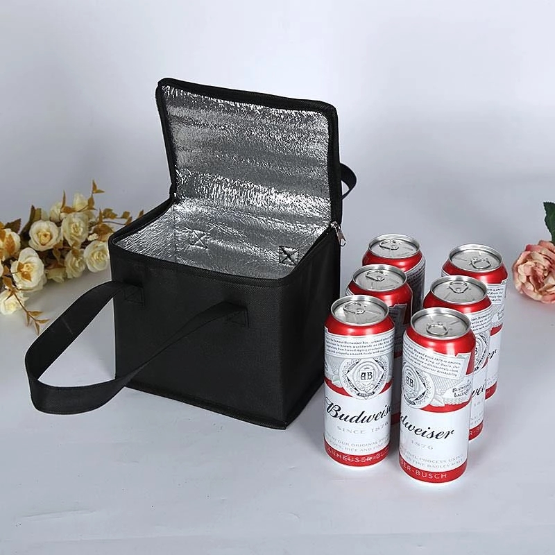 6-Can Insulated Cooler 2