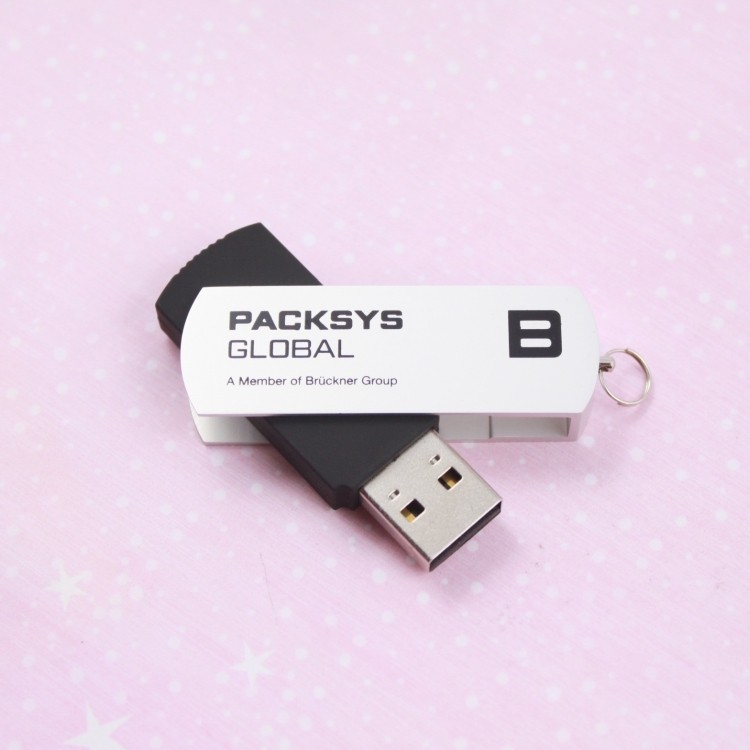 Custom Promotion Swivel 2GB USB Flash Drive 2