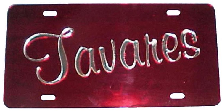 Two Color Mirror License Plate 2