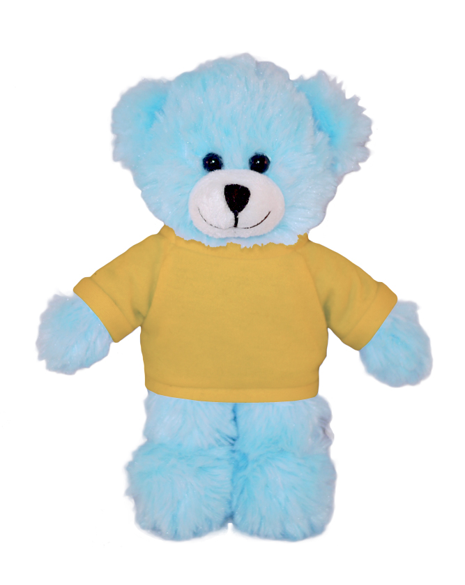 Blue Bear with Tee 2