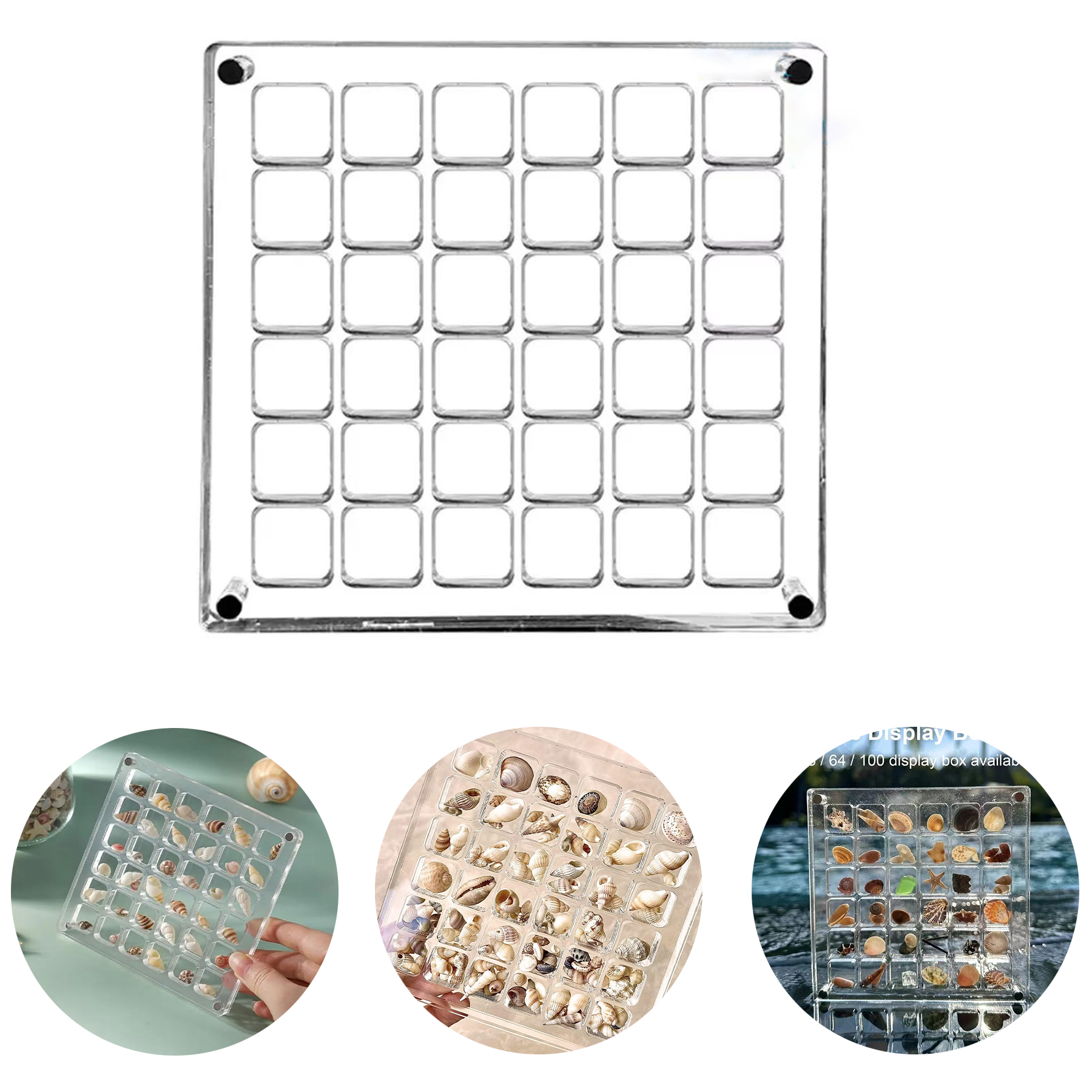 Acrylic Magnetic Seashell Display Box 2