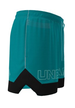 UA Icon Mesh Men's 5 Shorts 6