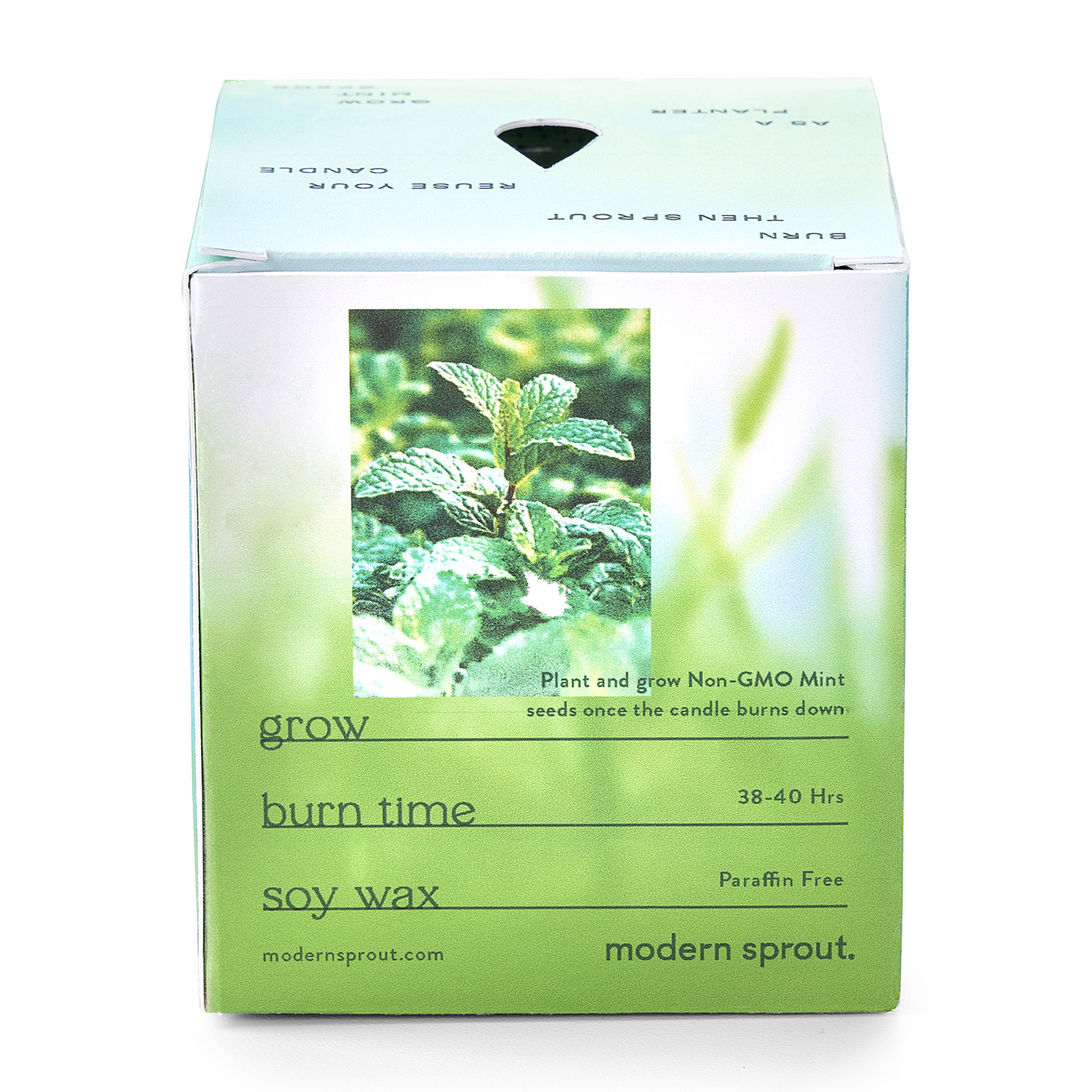 Modern Sprout® Garden Vibes Candle/Planter 64