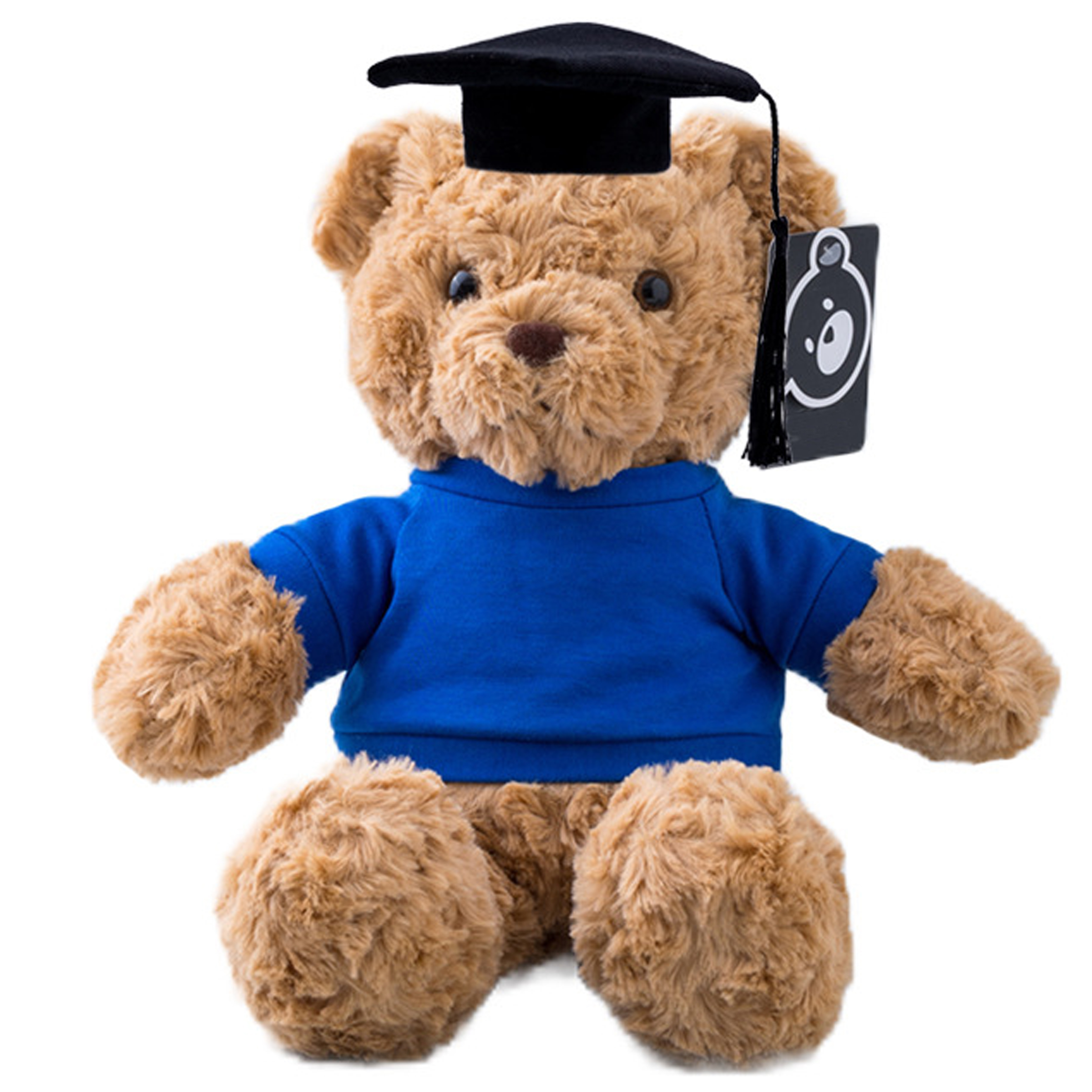 Polypropylene Fiber Graduation Ceremony Teddy Bear Doll 3
