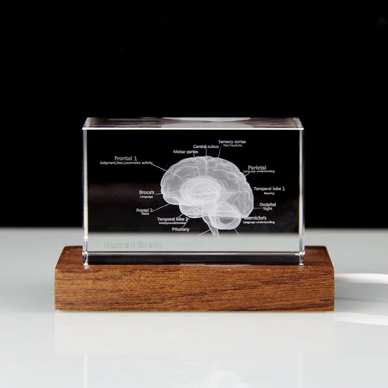 Custom 3D Crystal Photo with LED Light Base 5