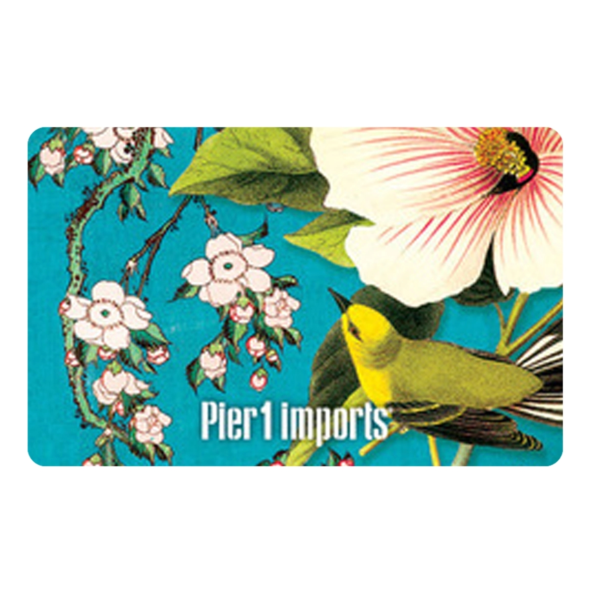 Pier 1 Imports Gift Card 2