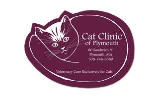 Cat Vinyl Jar Opener 13