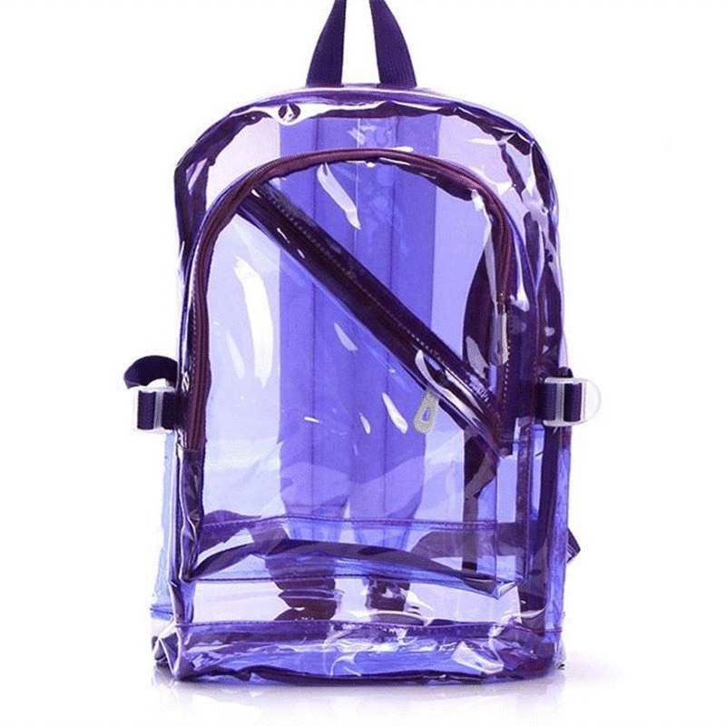Translucent School Backpack 2