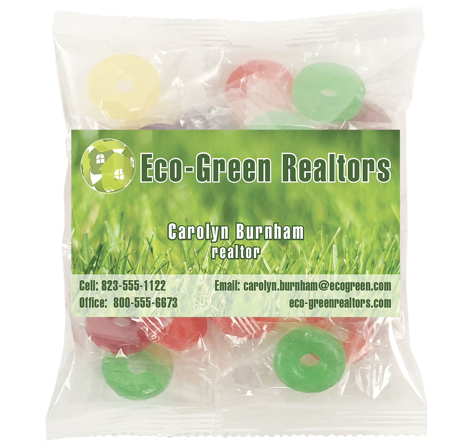 Large Snack Bag with Rectangle Magnet Premium Fill 9