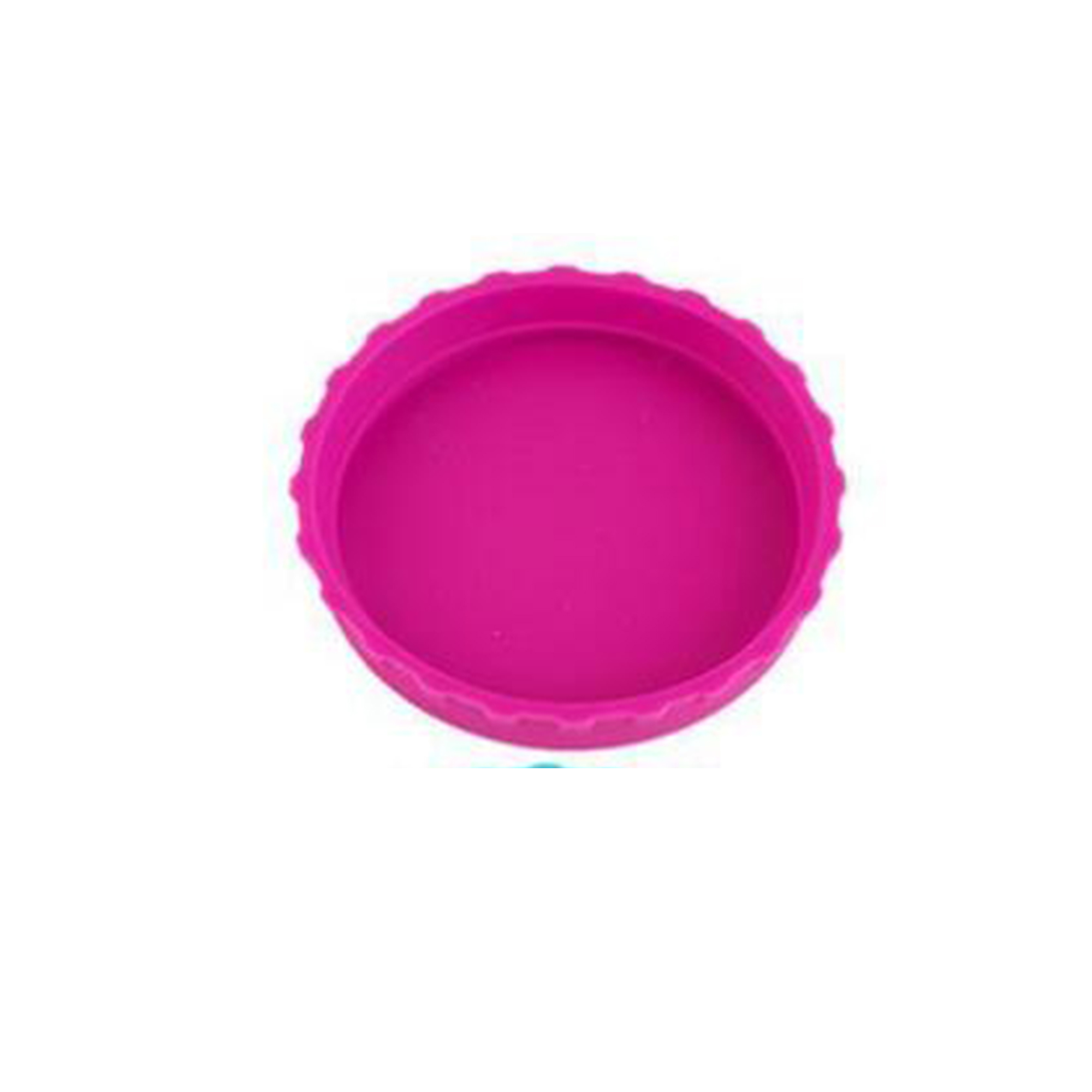 Can Seal Silicone Cap 6