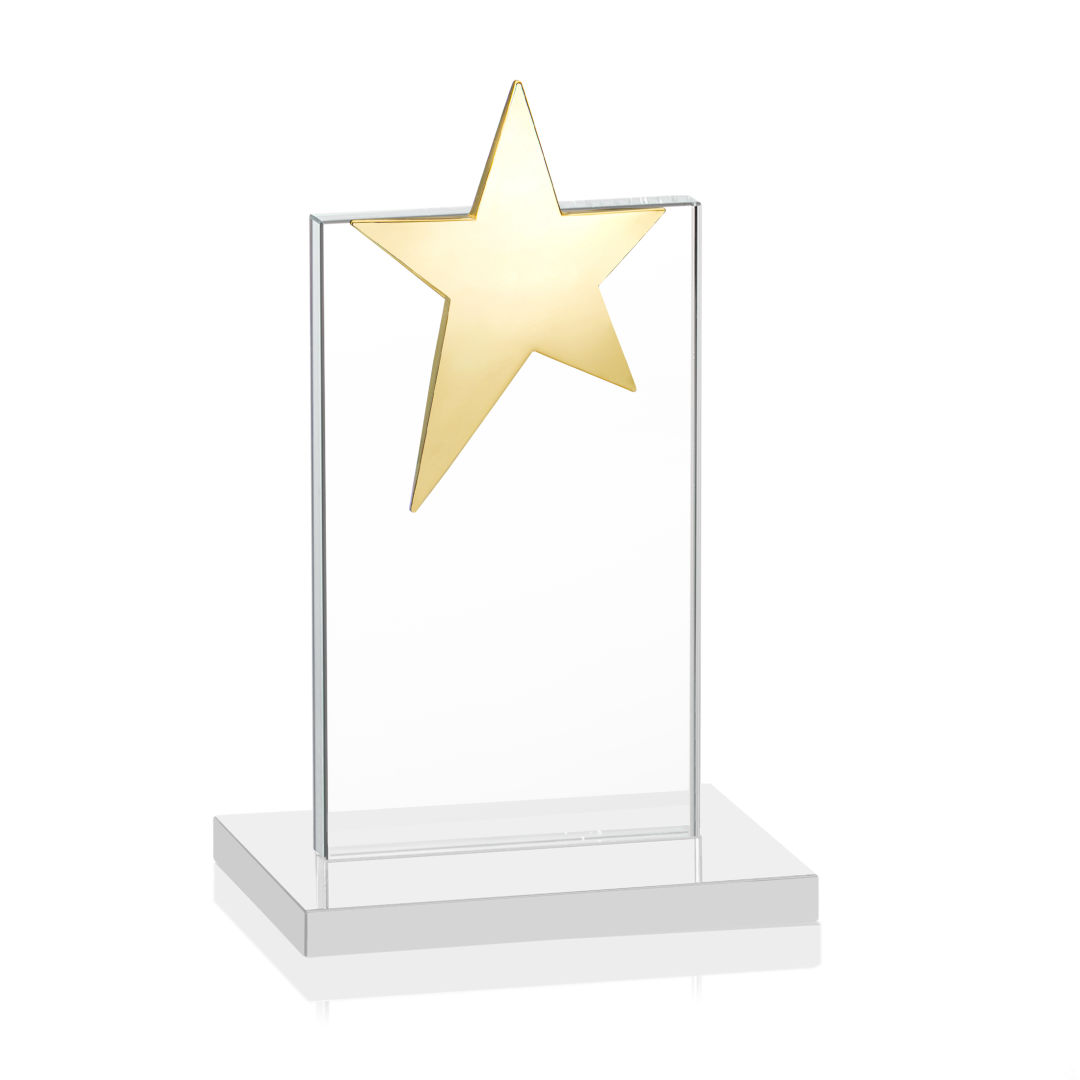 Bryanston Gold Star Award - White 12