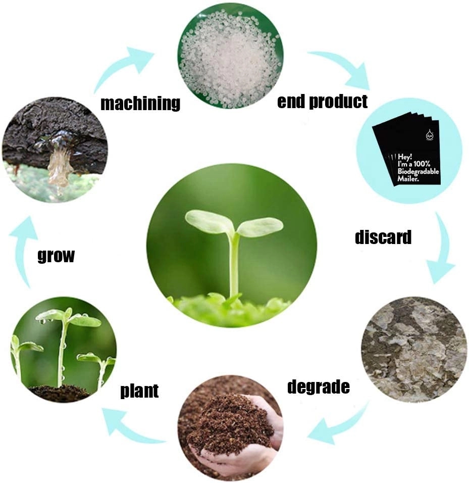 10" x13"Custom 100% biodegradable Recycled Mailer Bag 4