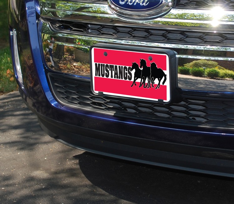 Plastic License Plates 2