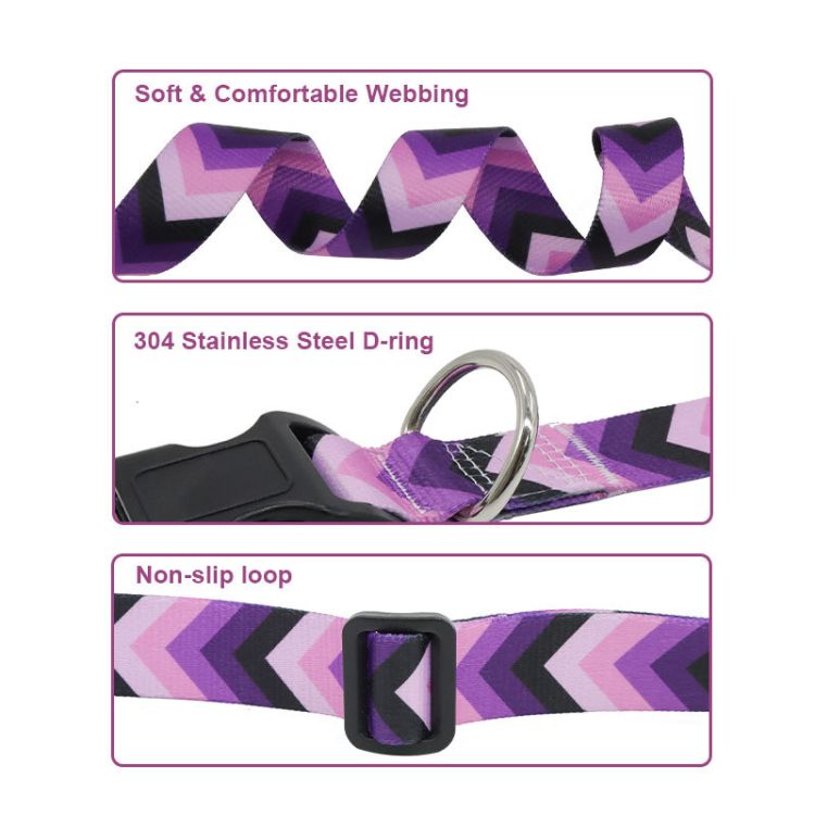 Dog Collar 3