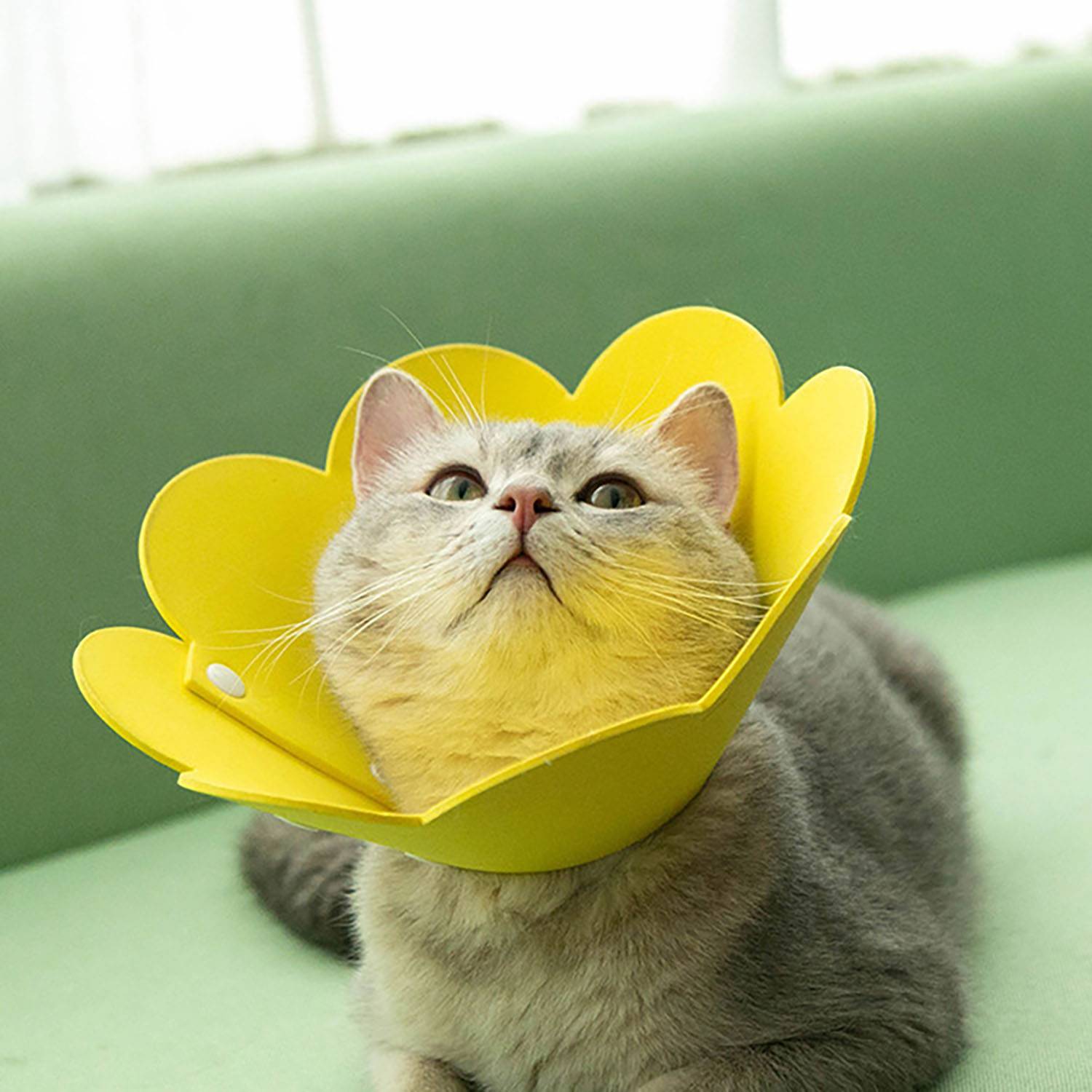 Flower L size Shaped Adjustable Pet Elizabeth Collar 7