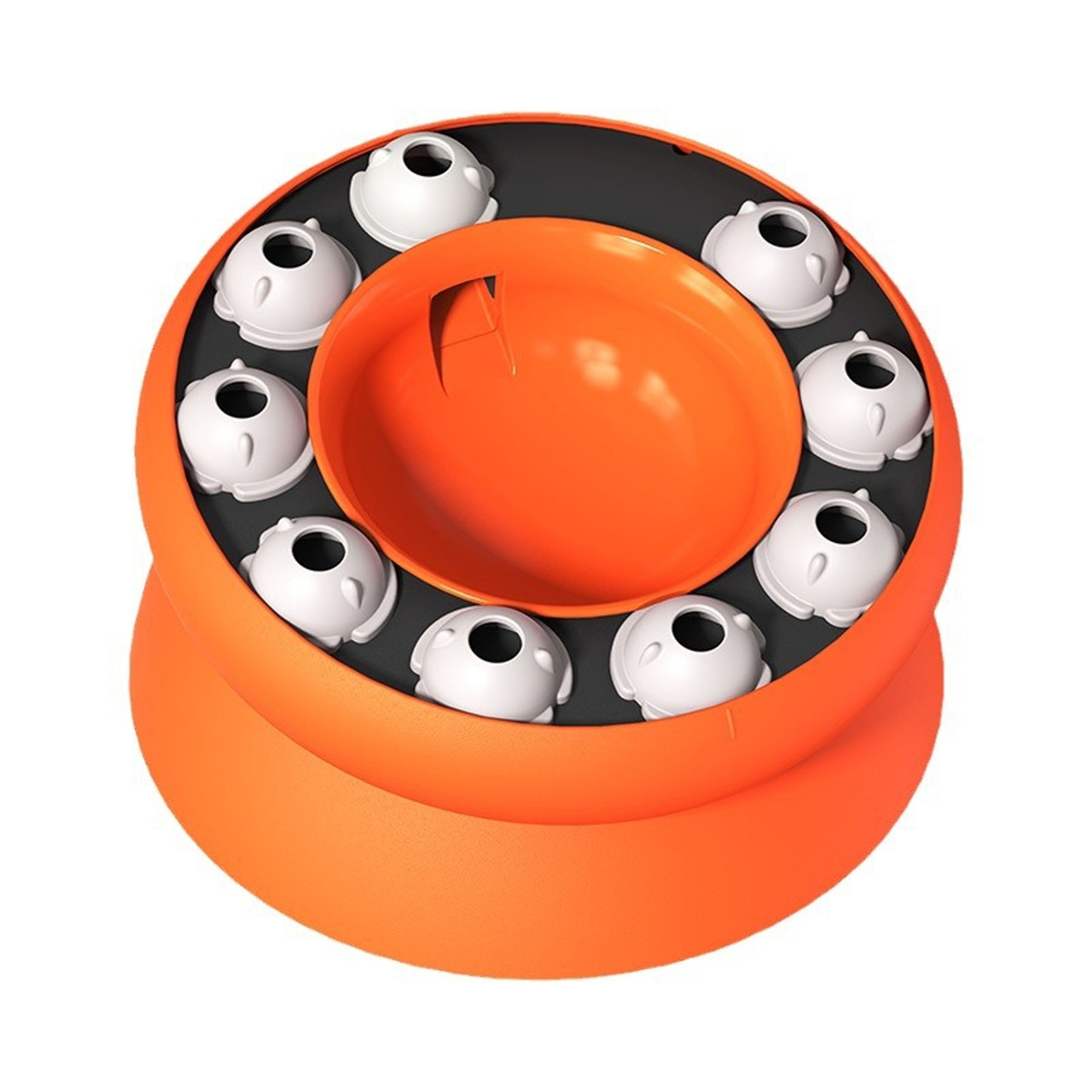 Cat Slow Food Bowl 5