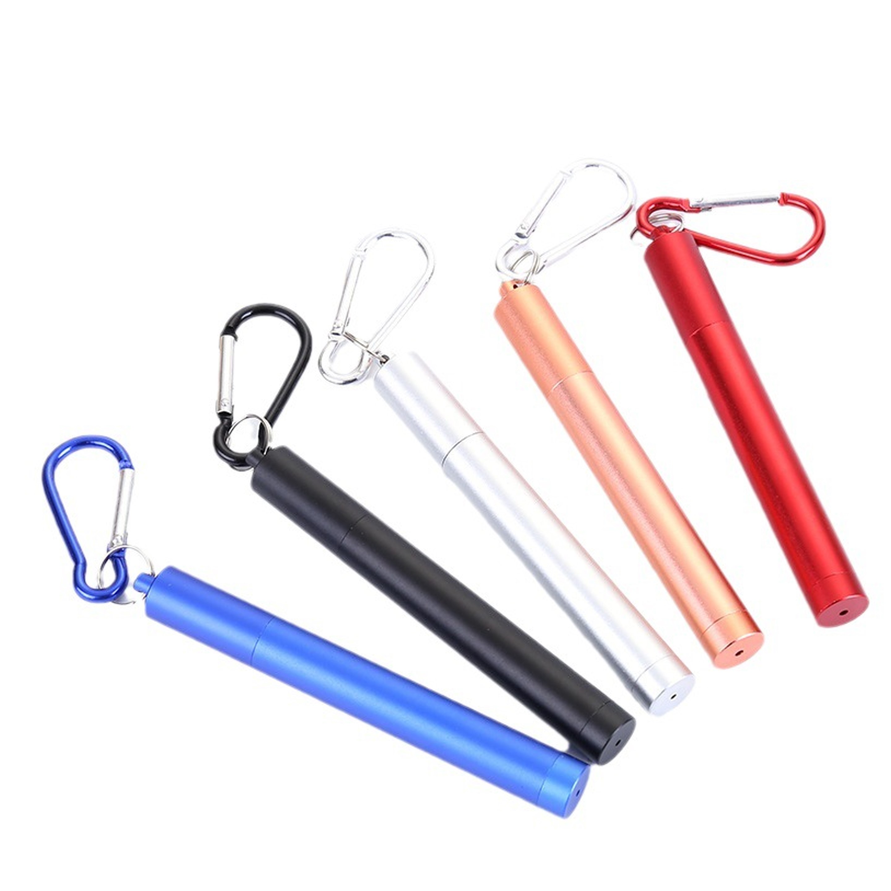 Reusable Stainless Steel Straw with Case 2