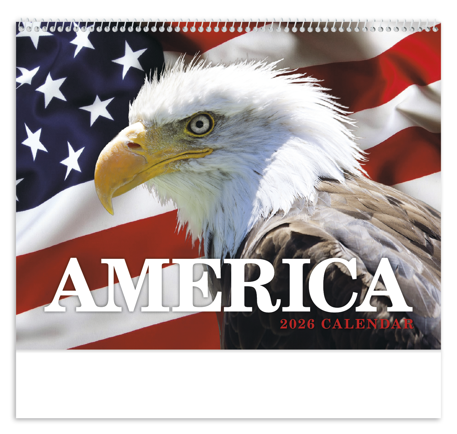 HotLine® Products America Appointment Calendar - Spiral 22