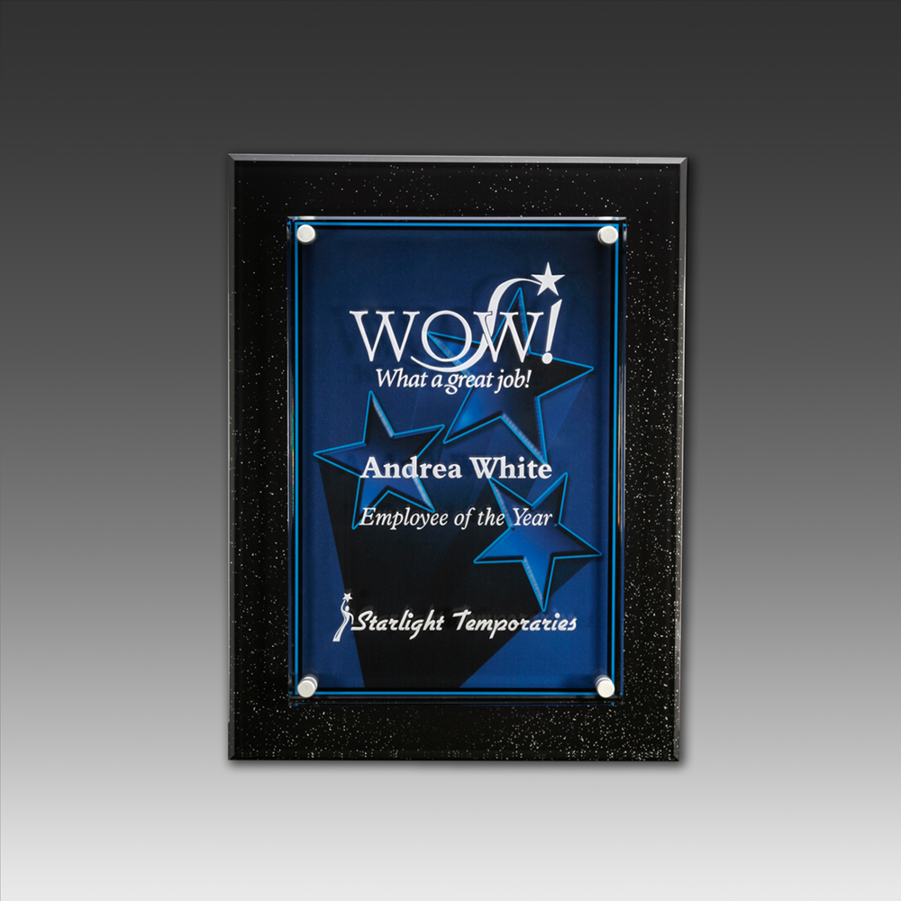8.5" x 10" AcryliPrint HD Star Excellence Plaque 2