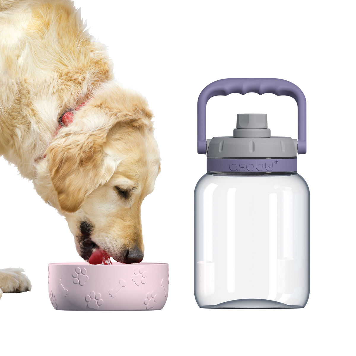 Asobu 50 Oz. The Barkley Jug w/Bowl 3