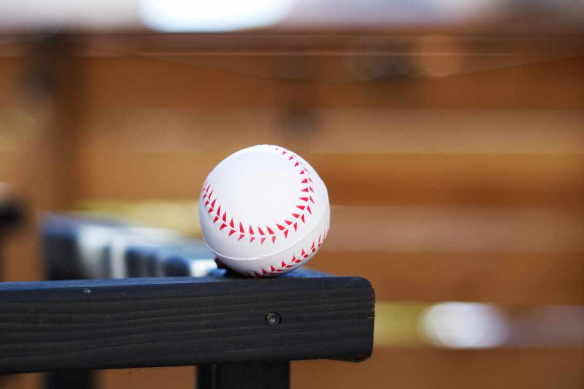 Baseball Stress Reliever 1