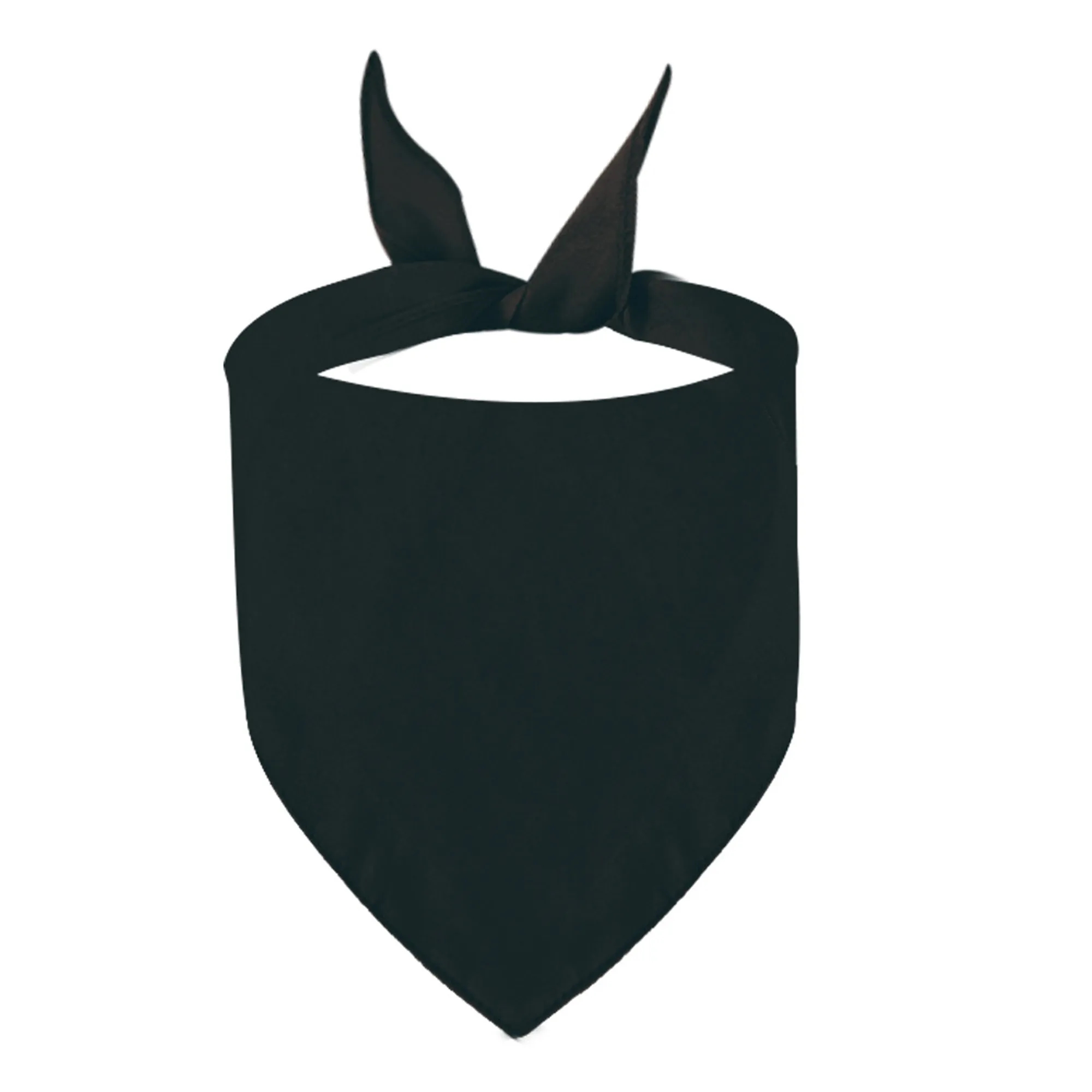 MOQ 20 Polyester Pet Triangle Scarf 13