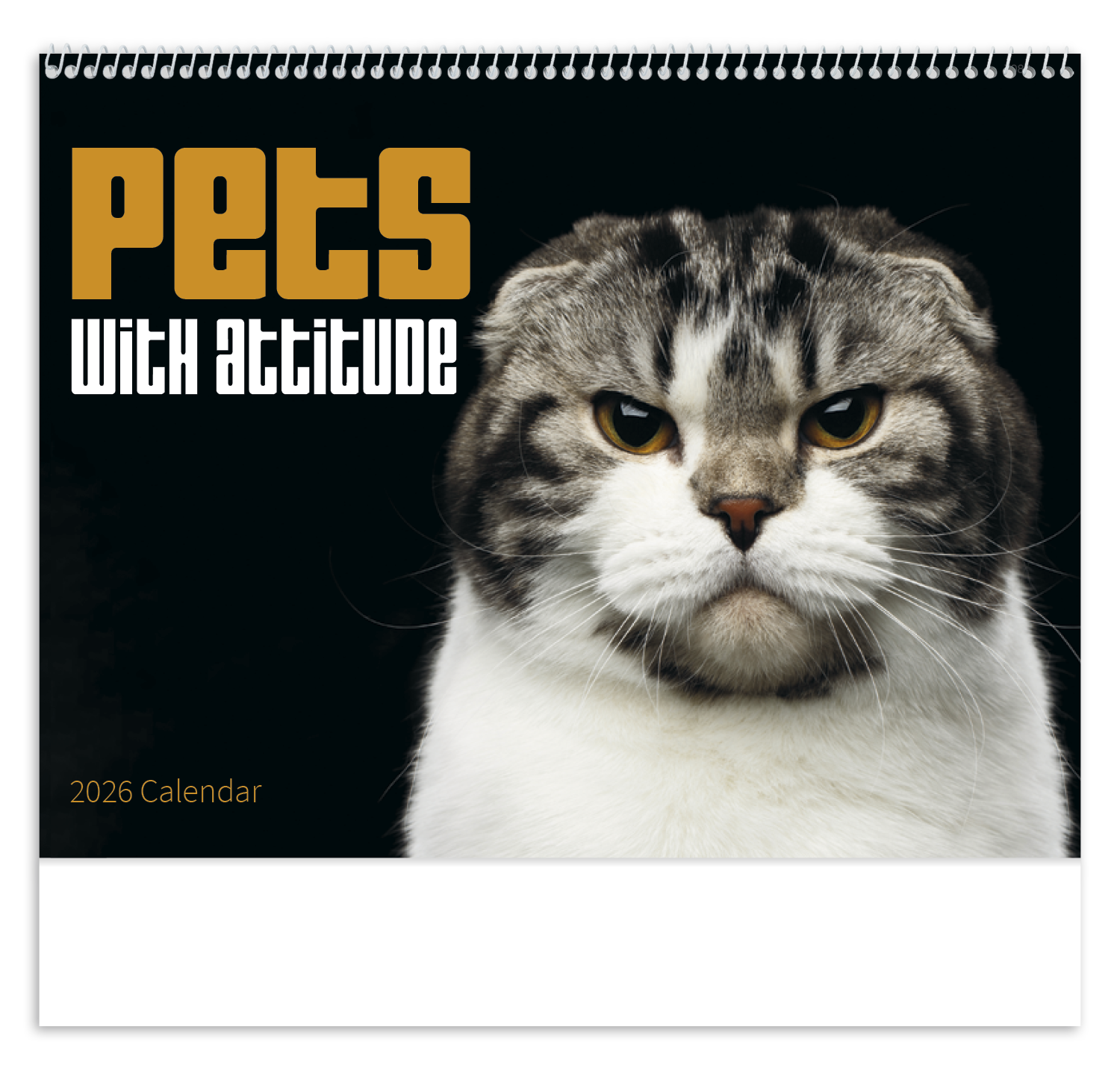 Good Value™ Pets with Attitude - Spiral Calendar 13