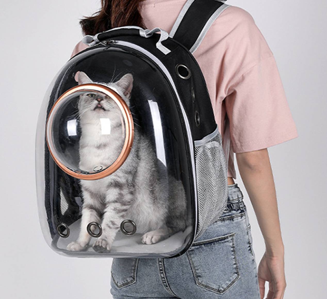 Transparent Pet Backpack 4