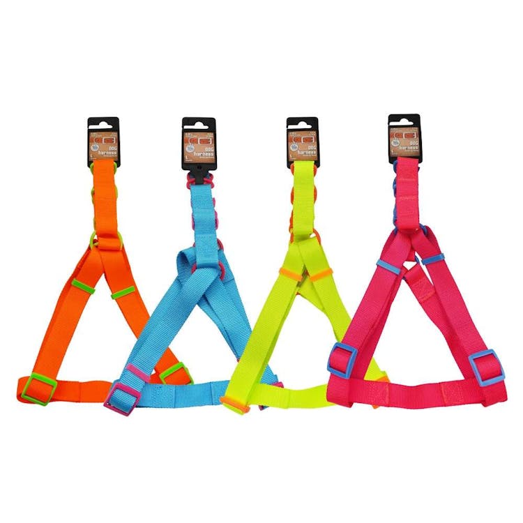 Dog Harnesses - Neon Large 2