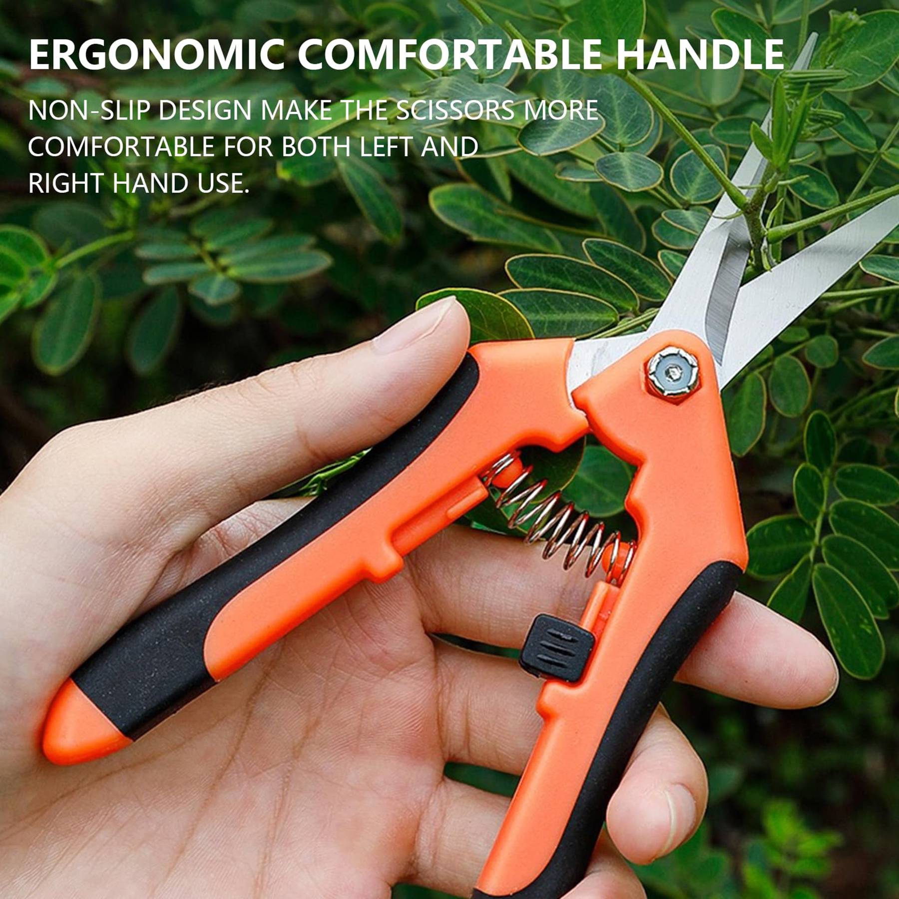 Straight Stainless Steel Blade Gardening Scissors 3