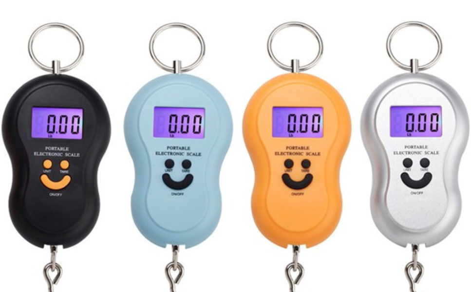 Digital Mini Hand Scale 2