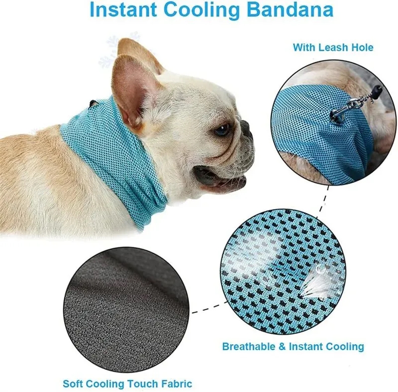 Dog Instant Cooling Bandana 7