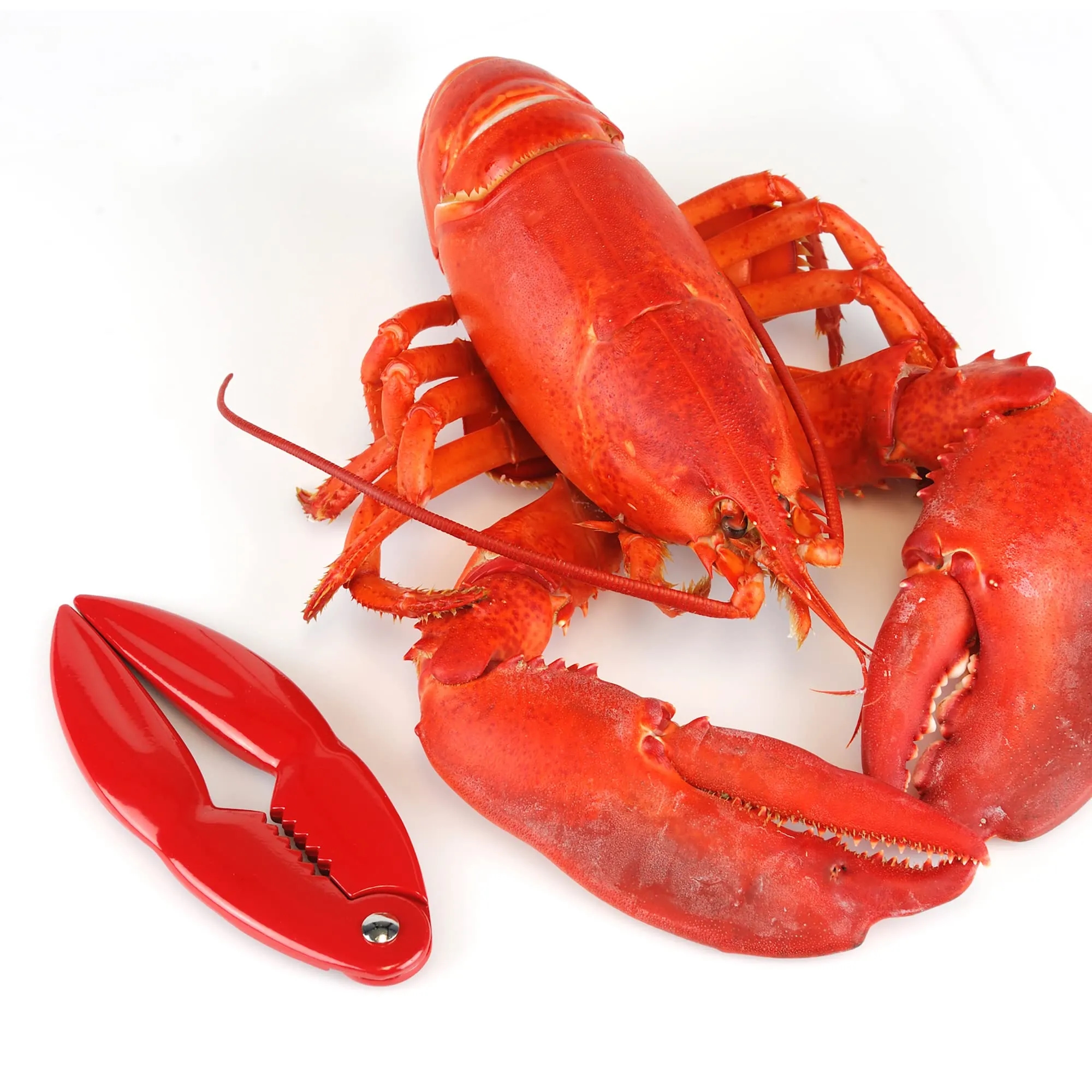 Crab Claw and Lobster Cracker 6