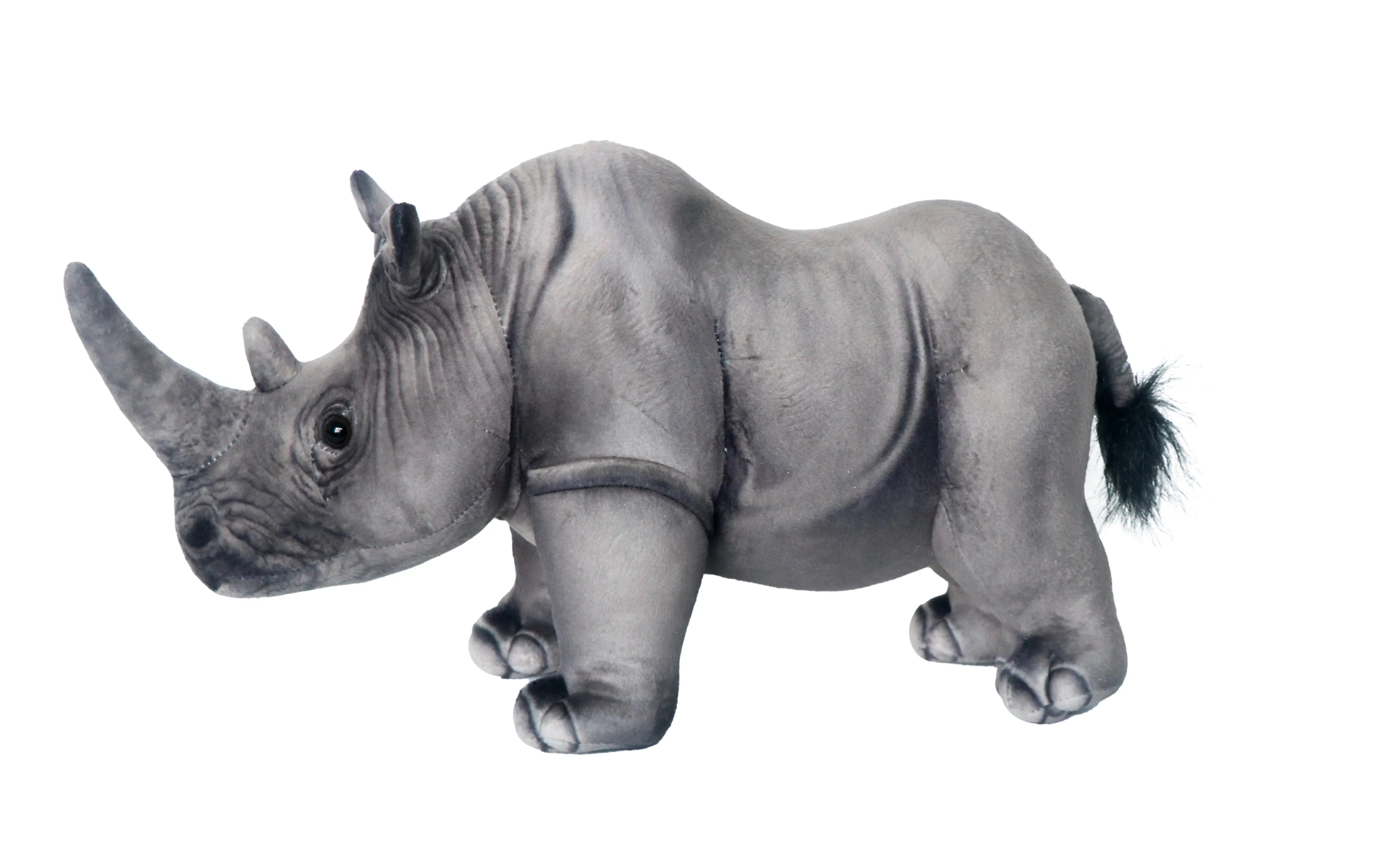 Rhino 1