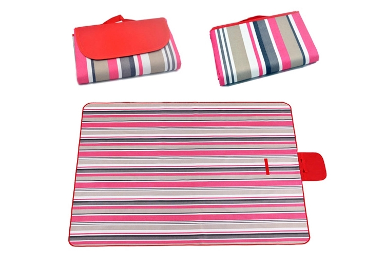 Picnic Blanket 2