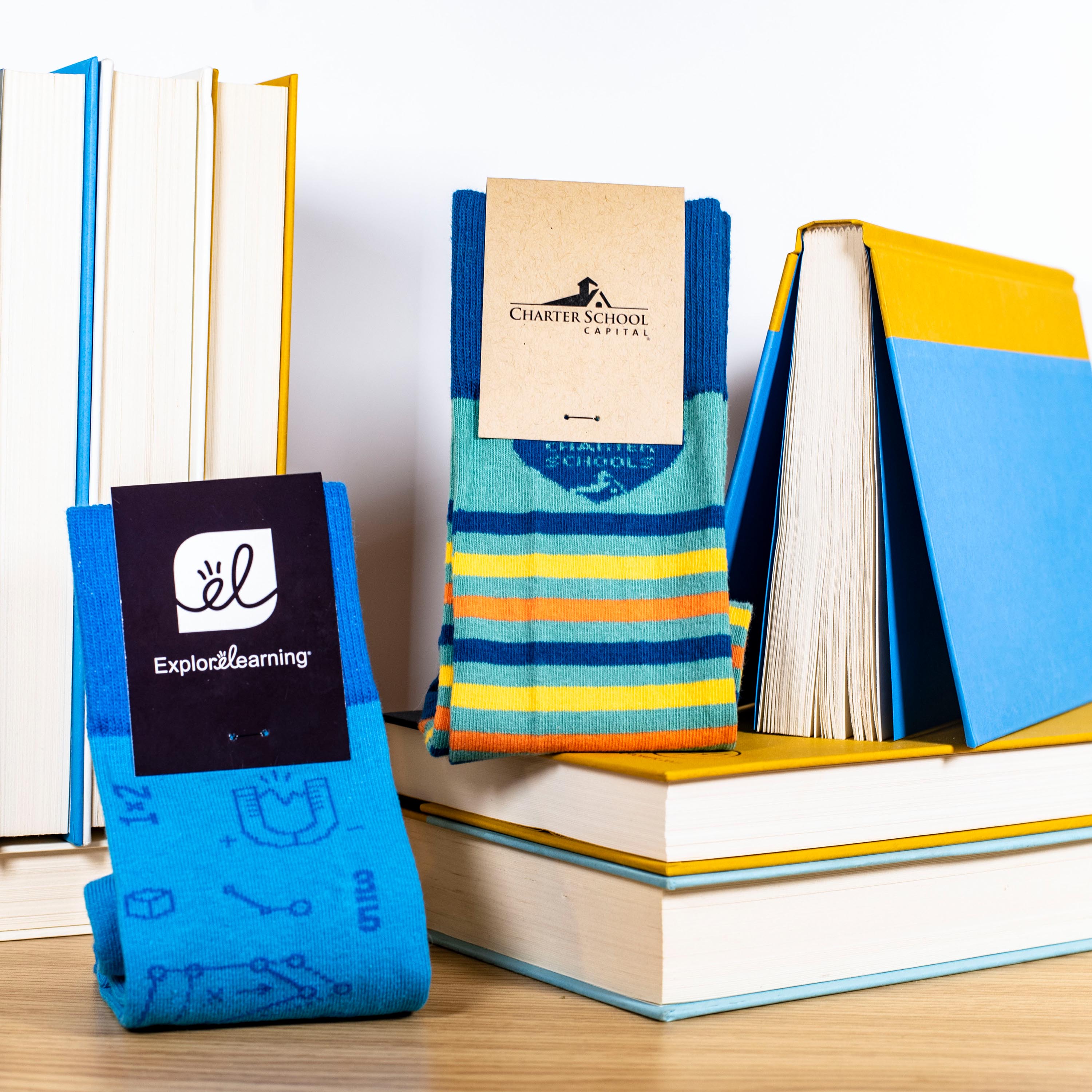 Synthetic Blend Book Club Socks - Read in Comfort with Literary Feet - American Made 2