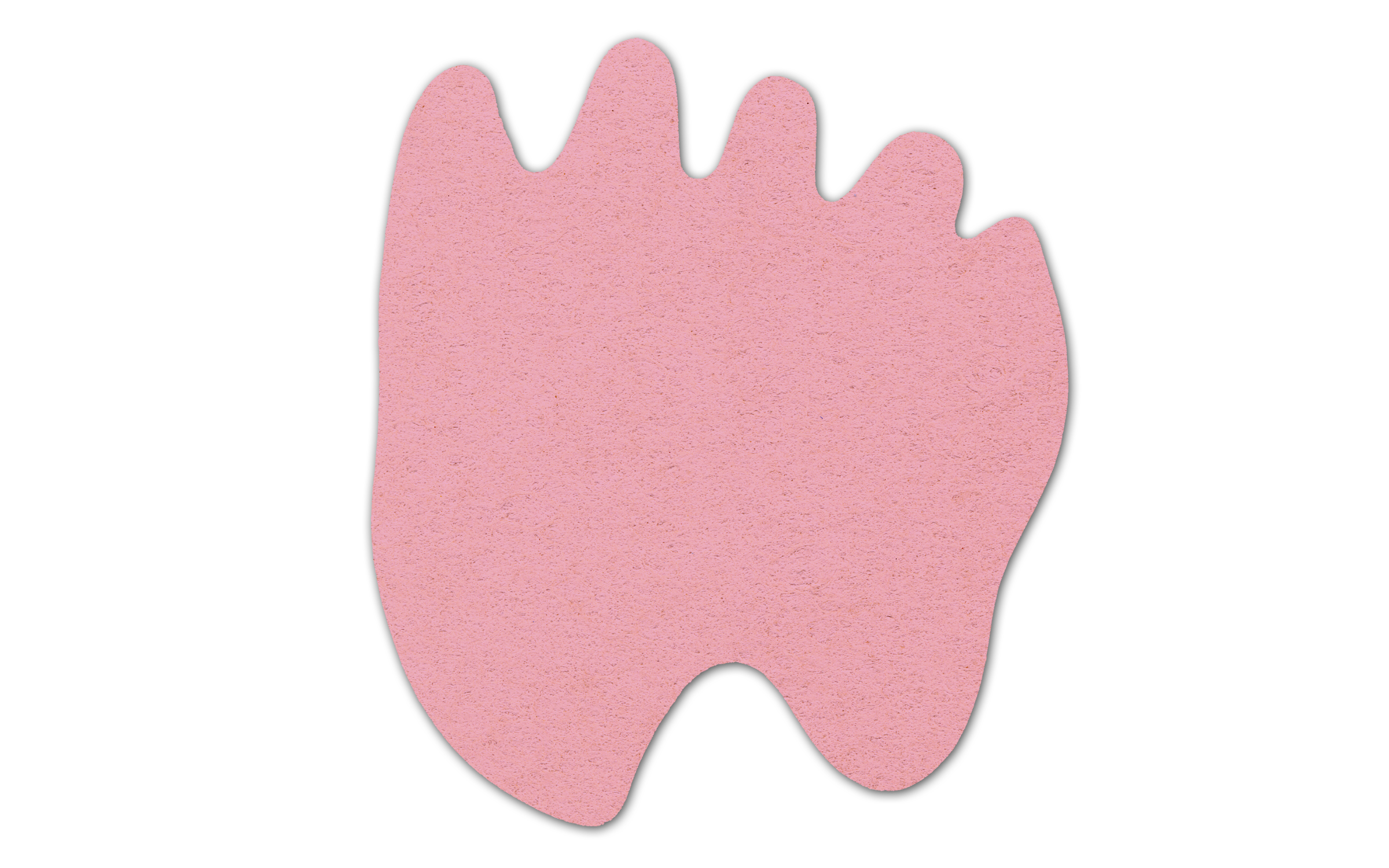 Paw Compressed Sponge 4PW 9