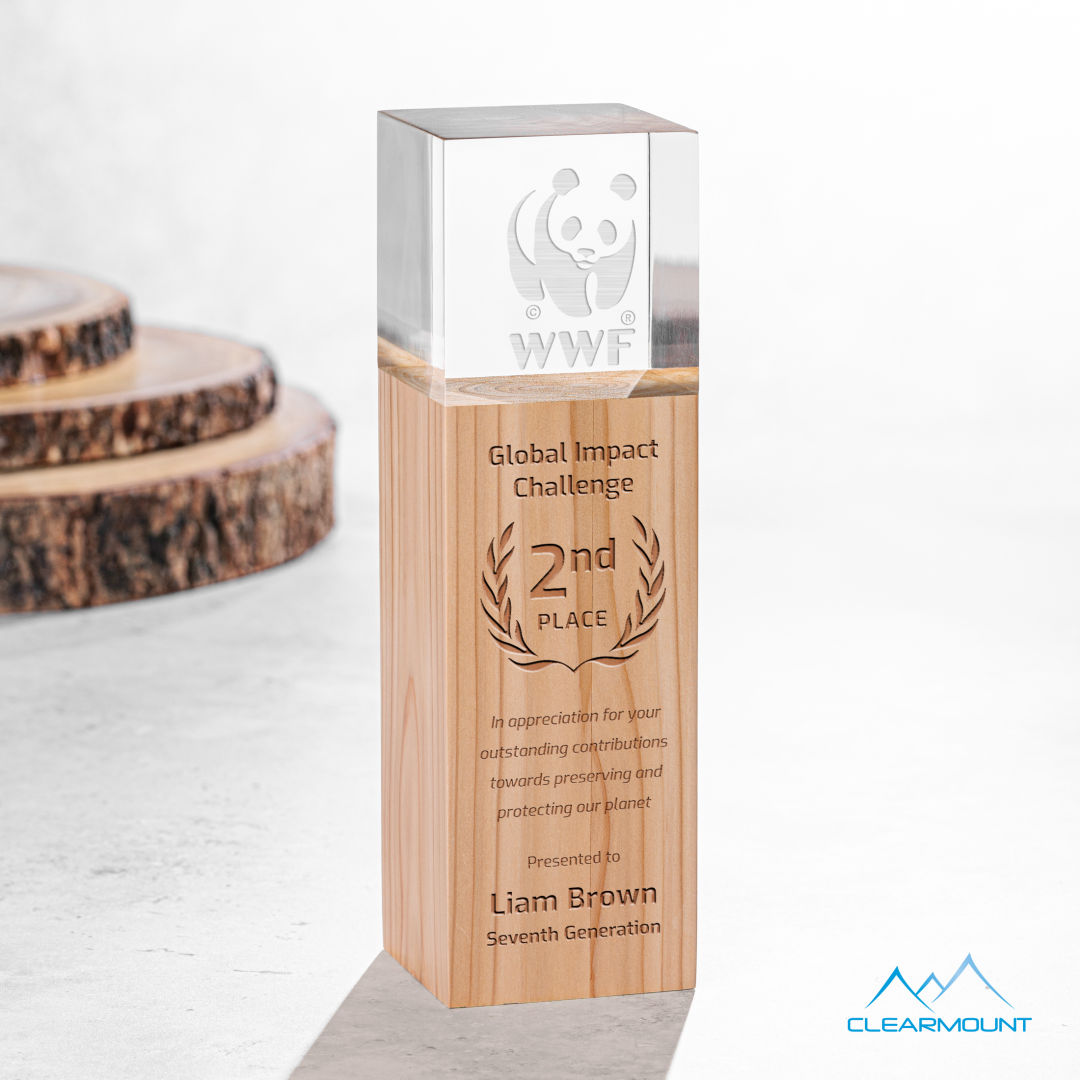 Branche Award 3