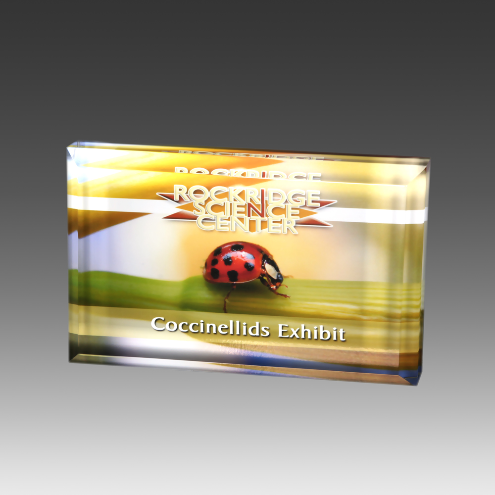 4.5" x 3.5" AcryliPrint HD Rectangle Paperweight 2