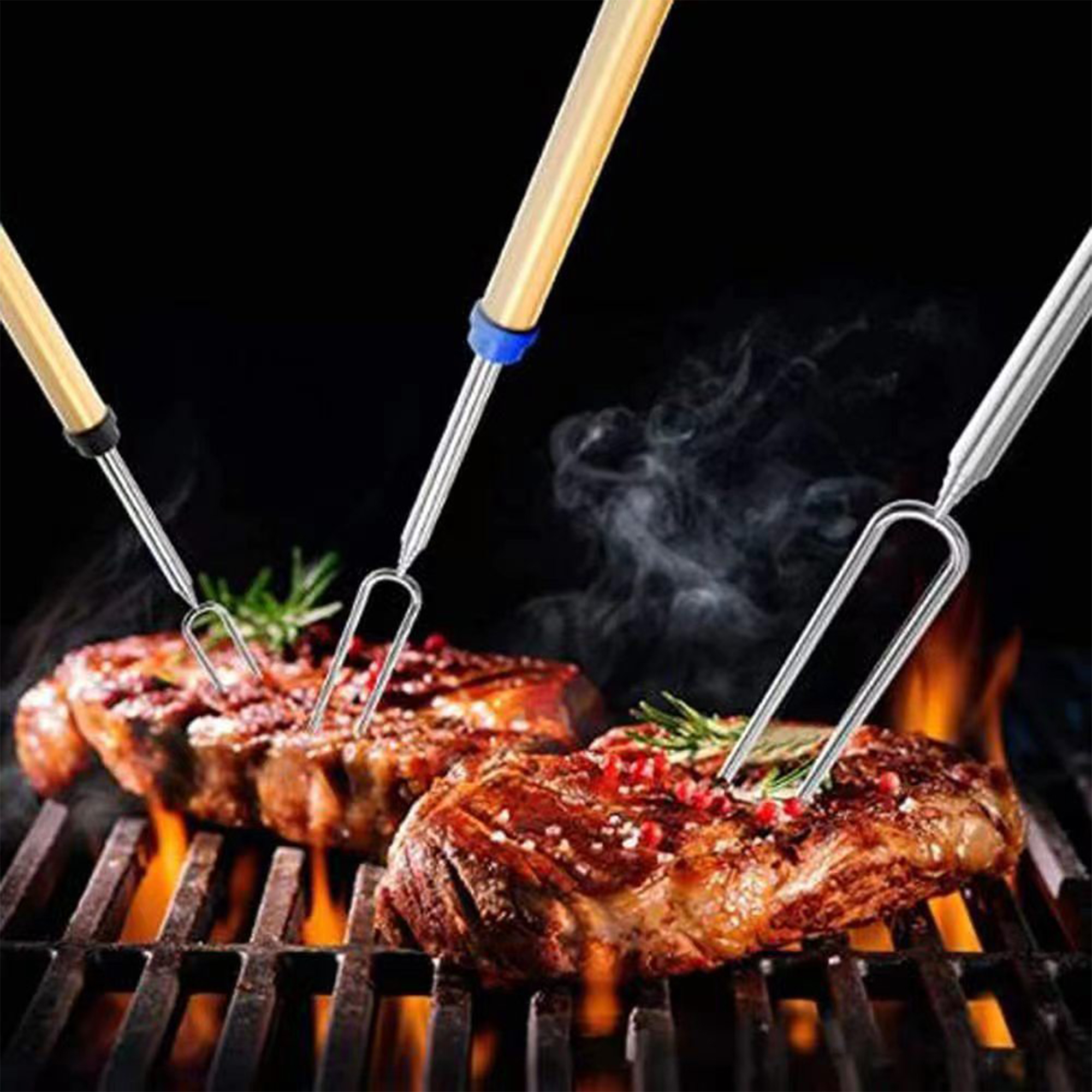 Extendable Stainless Steel Roasting Fork 15